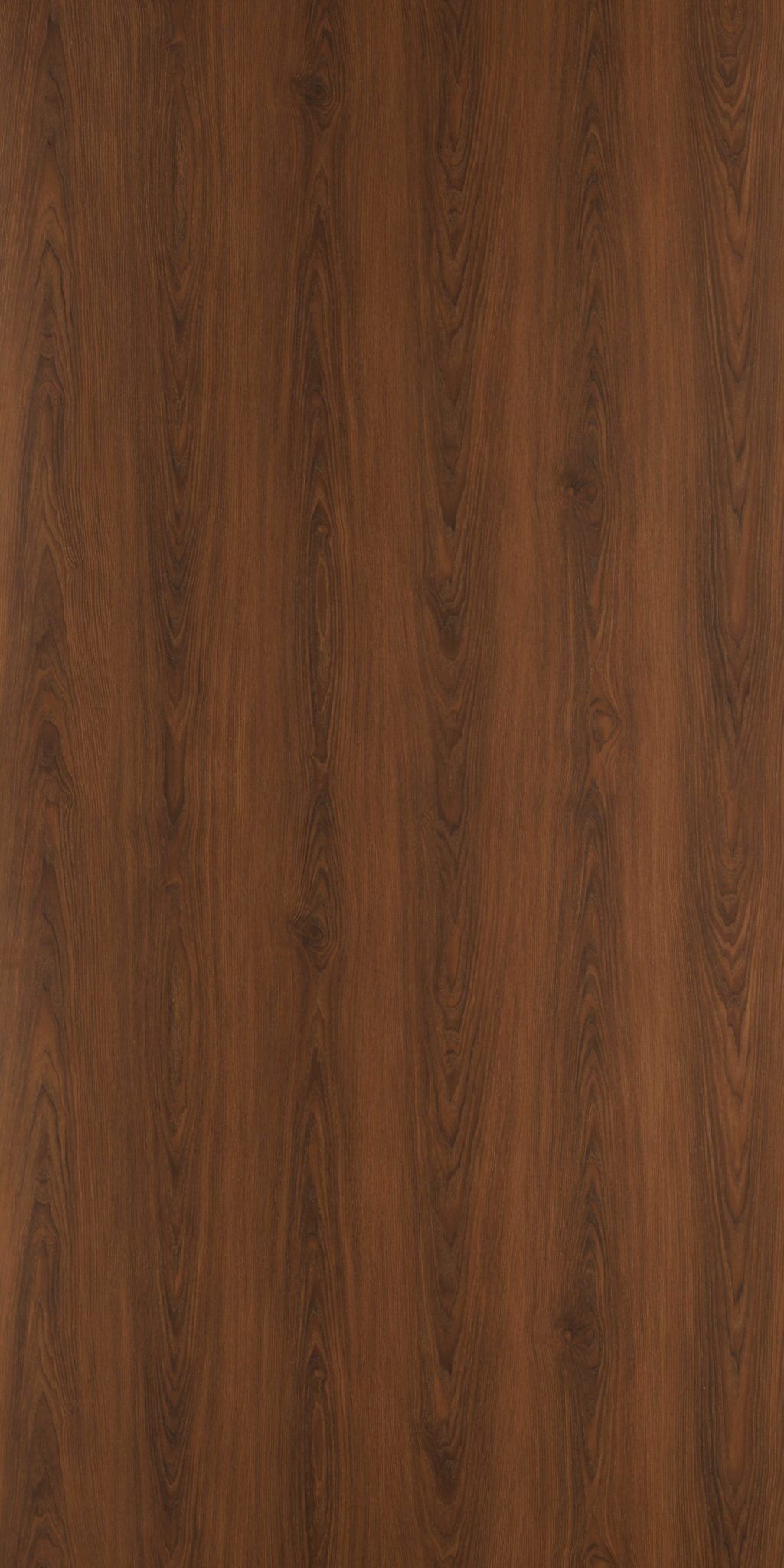 maron　① PQ-8385SY-LQ-scaled-1.jpg